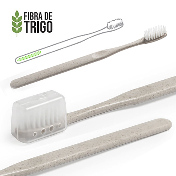 EC89-3 Cepillo Dientes Cleidol - Imagen 1